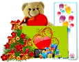 Greeting Card Designing Software